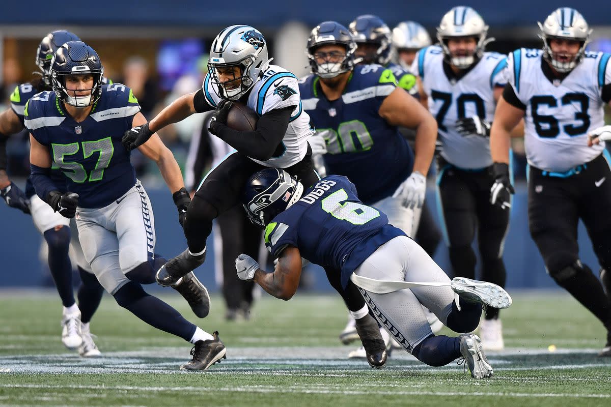 panthers